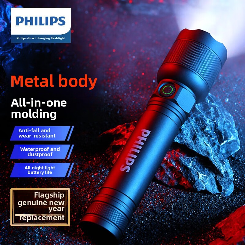 2025 NIEUWE Philips SFL2188 LE - Lighting Fixture Outdoor recensie en prijs