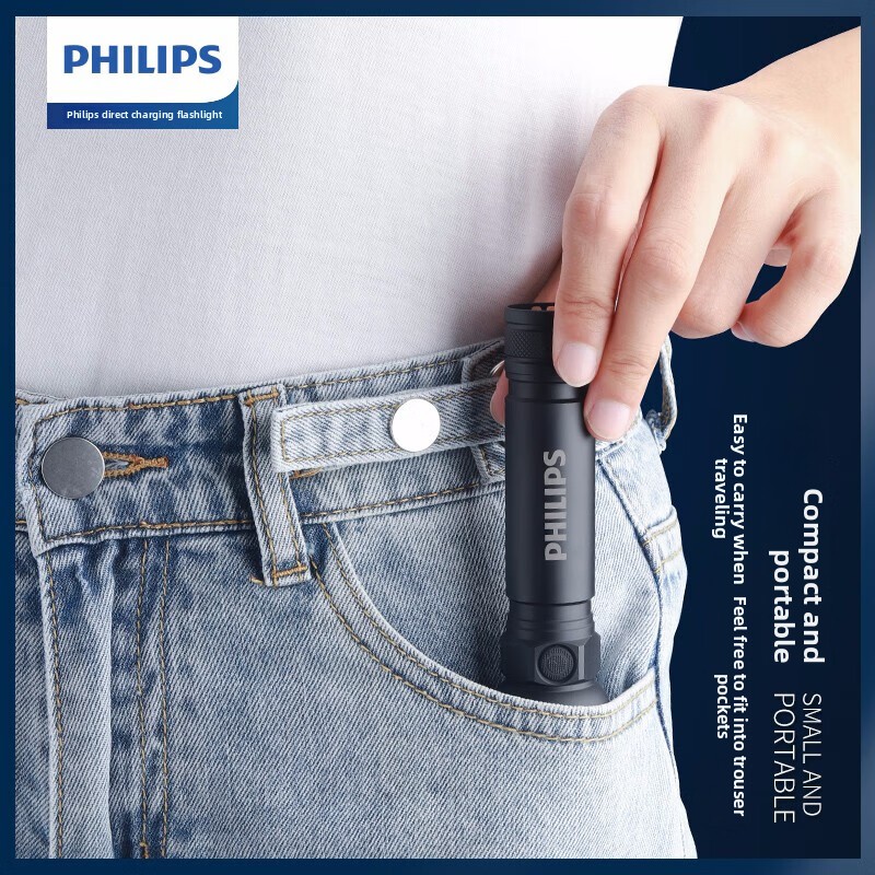 2025 NIEUWE Philips SFL2188 LE - Lighting Fixture Outdoor recensie en prijs